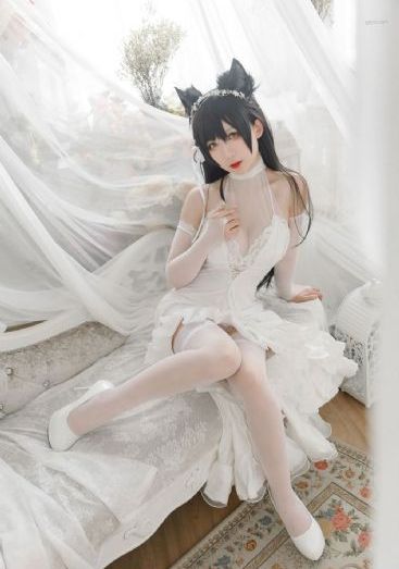 日韩明星见到刘德华_超清全集免费播放